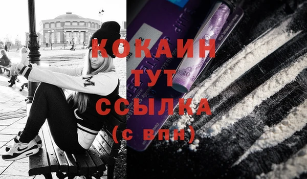 тгк Вяземский