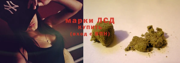 СК Россошь