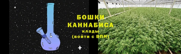 тгк Вяземский