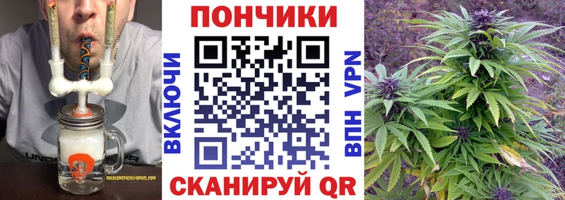 Каннабис сатива  Назарово 